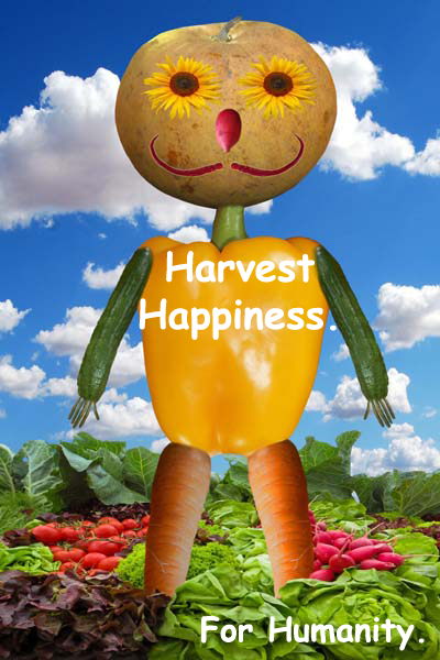Harvest Happiness