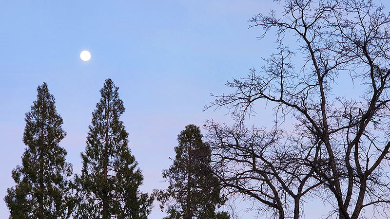 Full Snow Moon