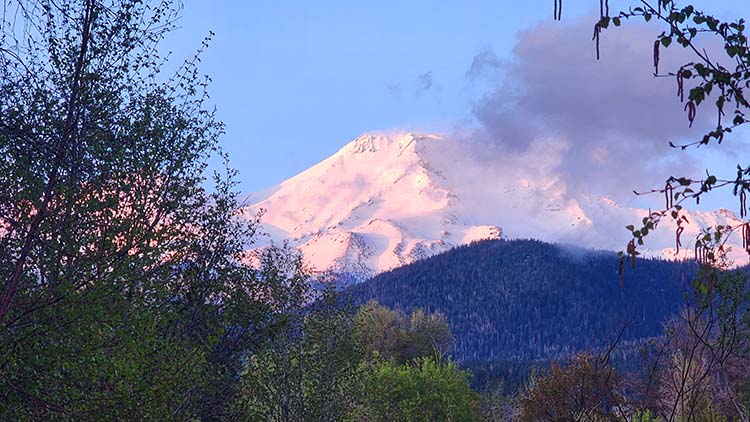 Mnt Shasta