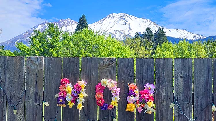 Mnt Shasta Mother