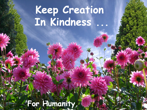 Create Kindness