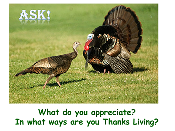 Sacred Awareness Sacred Awareness