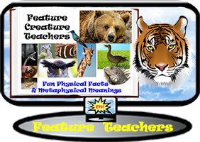 Feature Creature Teacher