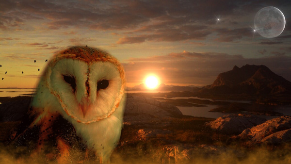 Sacred Awareness